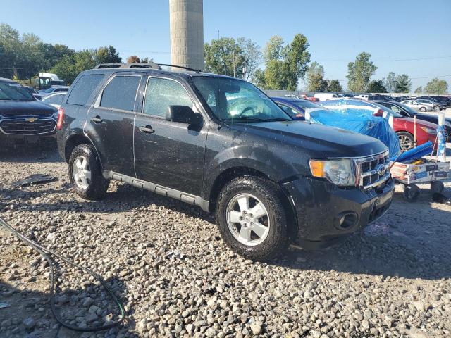 2011 FORD ESCAPE XLT - 1FMCU0D75BKA26704