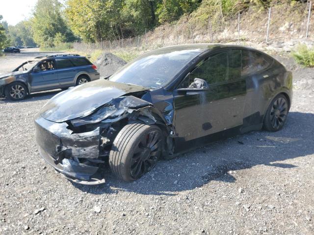 2022 TESLA MODEL Y - 7SAYGDEF0NF443344