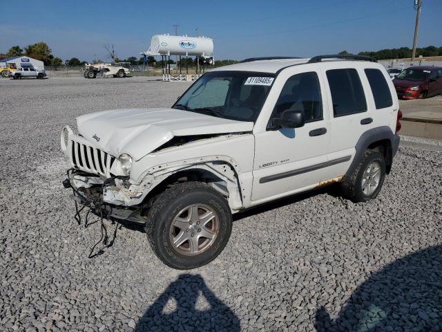 Global Auto Auctions: 2002 JEEP LIBERTY SPORT