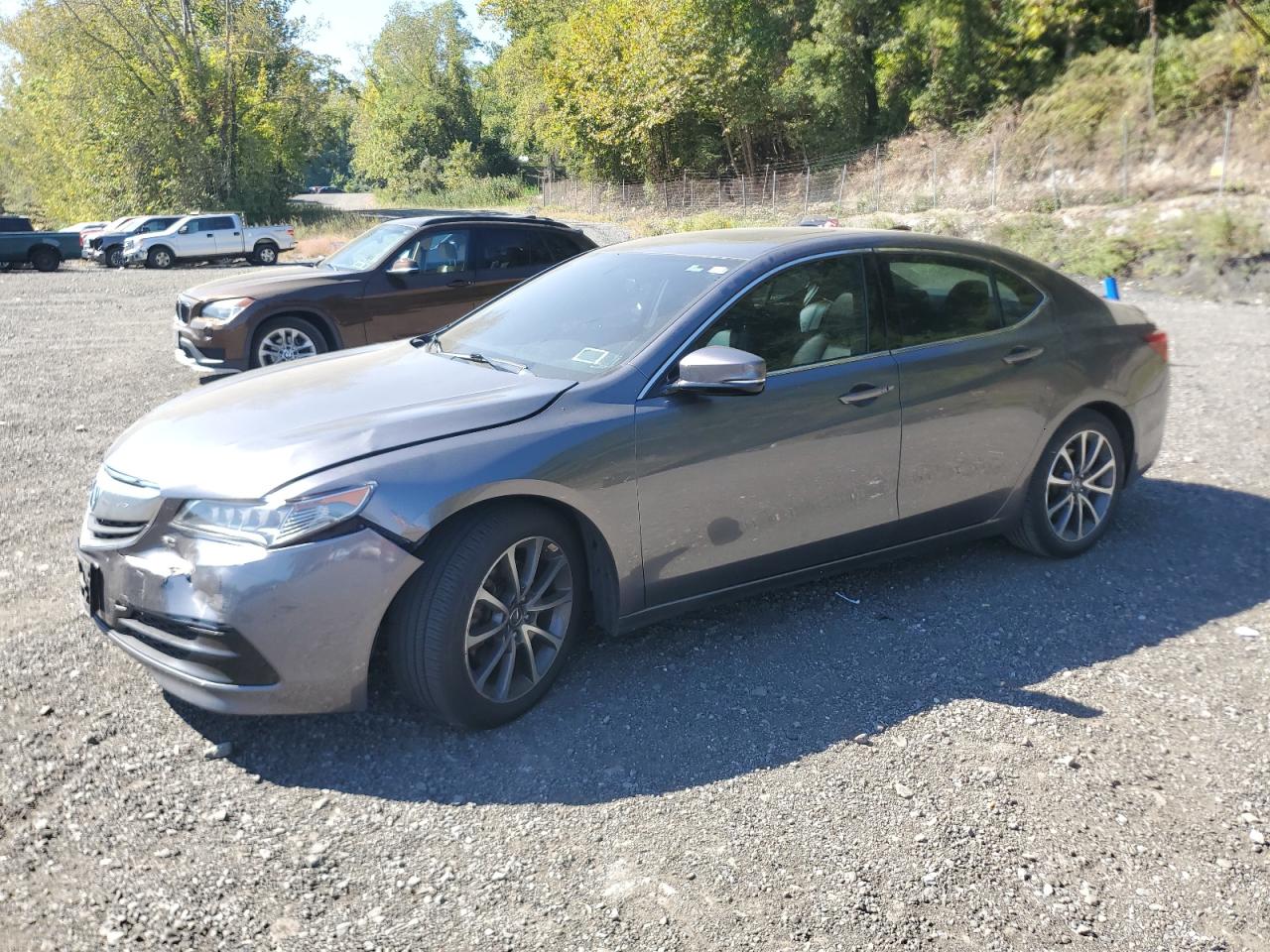 ACURA TLX