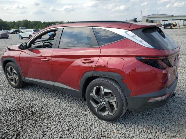 2024 HYUNDAI TUCSON SEL #3294406513