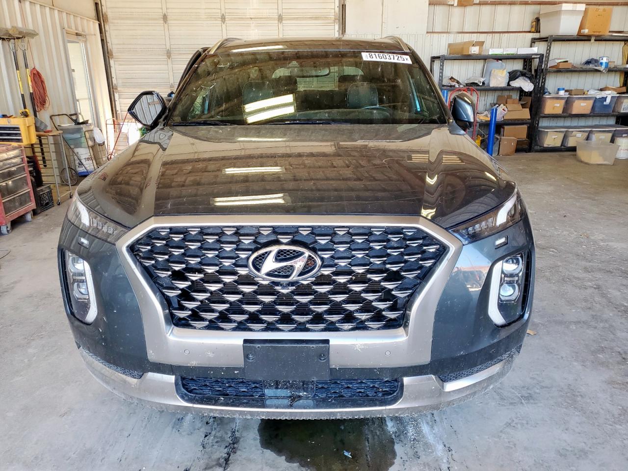 HYUNDAI PALISADE CALLIGRAPHY