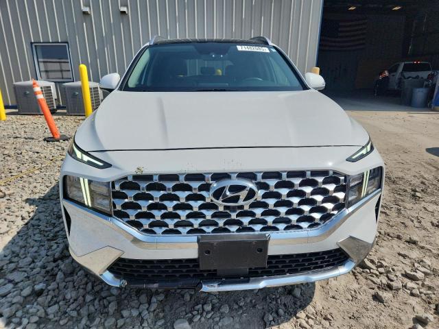 2023 HYUNDAI SANTA FE SEL PREMIUM 5NMS3DAJ4PH523983