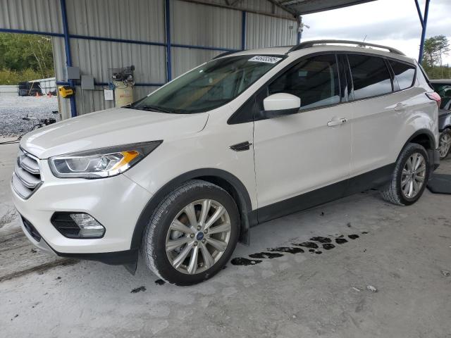Global Auto Auctions: 2019 FORD ESCAPE SEL