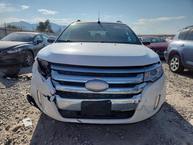2013 FORD EDGE SEL - 2FMDK4JC7DBC23017