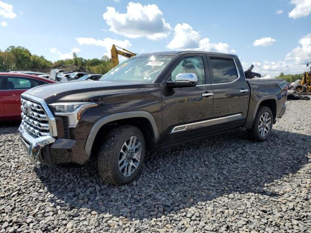 2025 TOYOTA TUNDRA CREWMAX PLATINUM 5TFMA5DB5SX271783