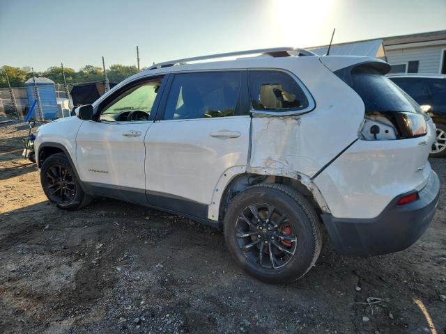 2019 JEEP CHEROKEE L - 1C4PJMLB3KD259836