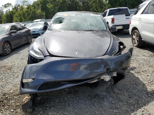 2023 TESLA MODEL Y 7SAYGDED2PF941689
