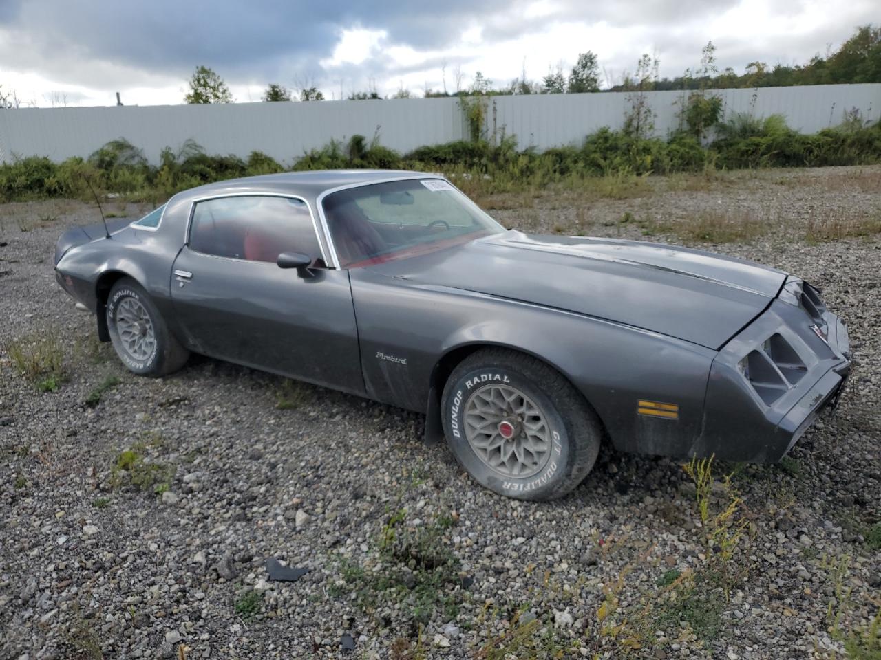 Lot #3261287905 1981 PONTIAC FIREBIRD
