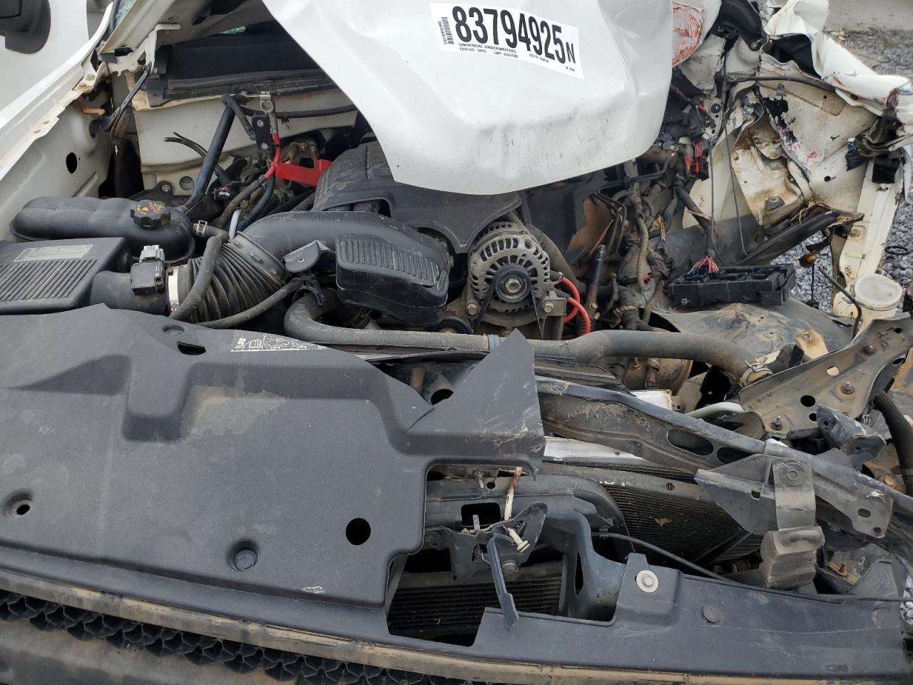 Lot #3303668927 2013 CHEVROLET SILVERADO K1500