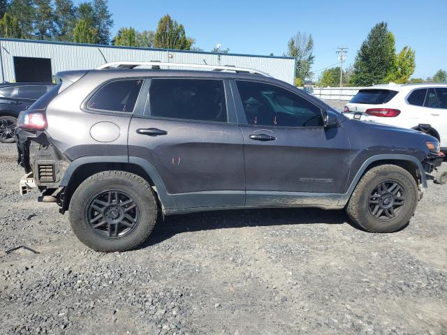 2019 JEEP CHEROKEE L 1C4PJMDN2KD179873