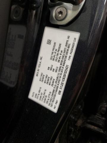 2025 TESLA MODEL 3 - 5YJ3E1EB3SF025431