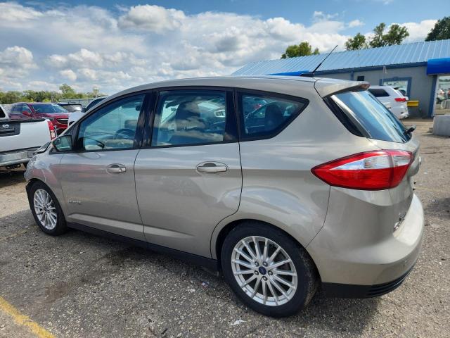 2015 FORD C-MAX SE 1FADP5AU1FL110645