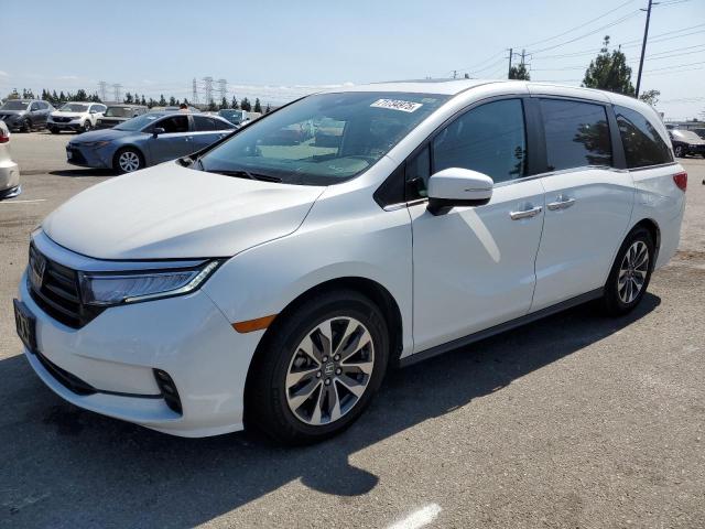 HONDA ODYSSEY EXL