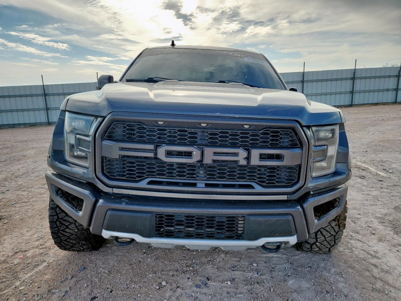 FORD F-150 RAPTOR
