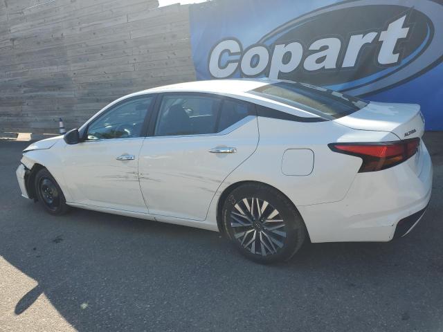 2025 NISSAN ALTIMA SV 1N4BL4DV5SN364066