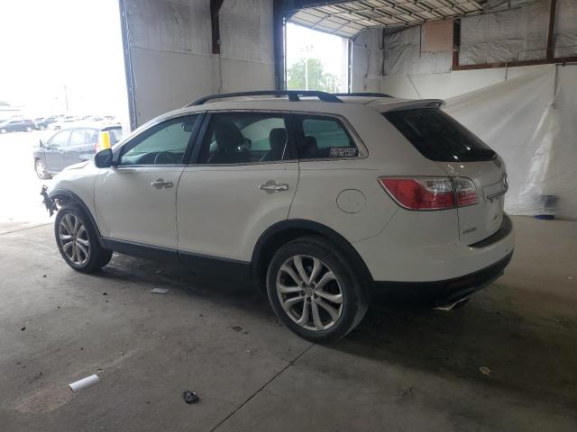 2011 MAZDA CX-9 - JM3TB2DA5B0329132
