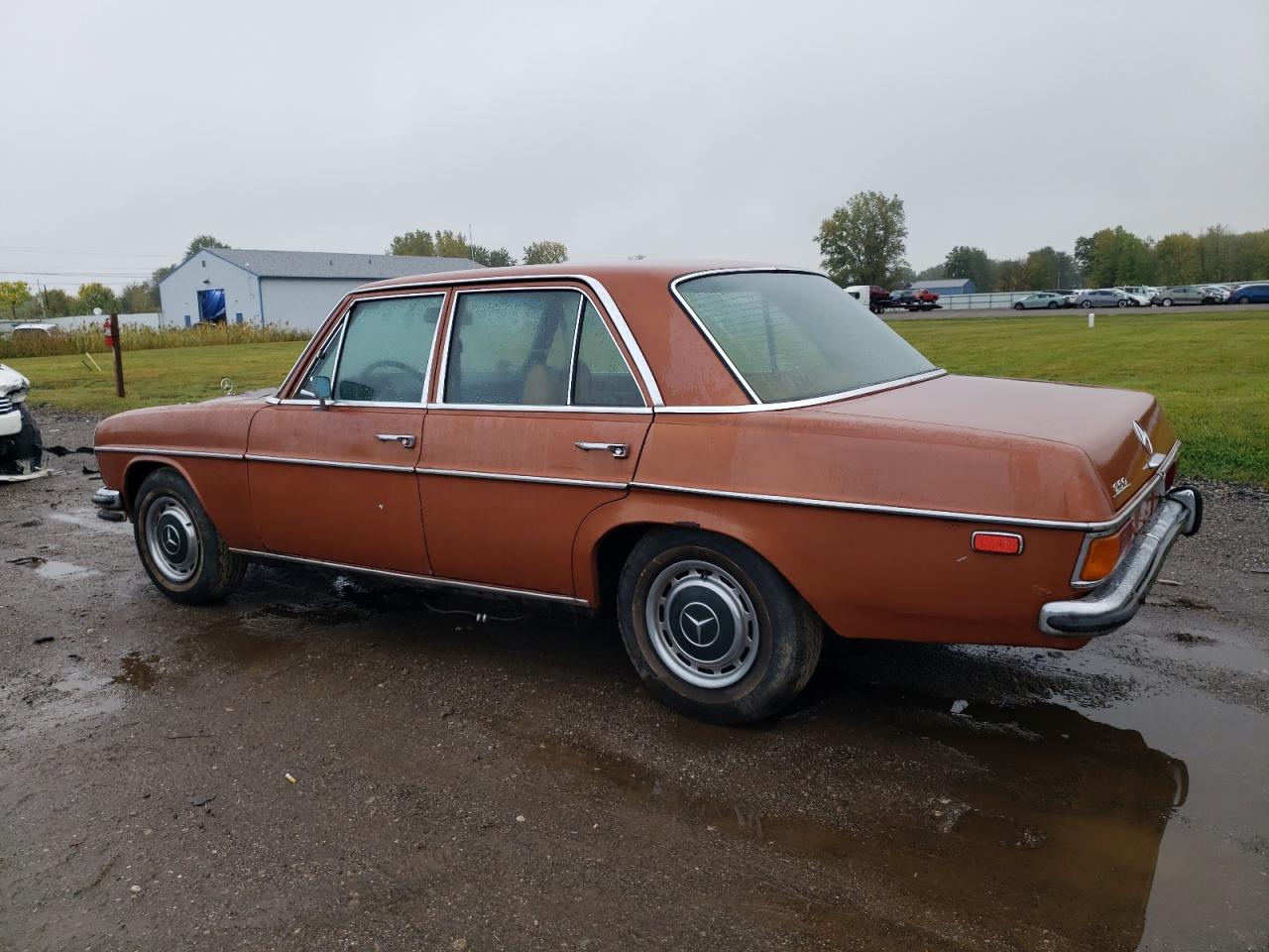 Lot #3253867549 1972 MERCEDES-BENZ 250