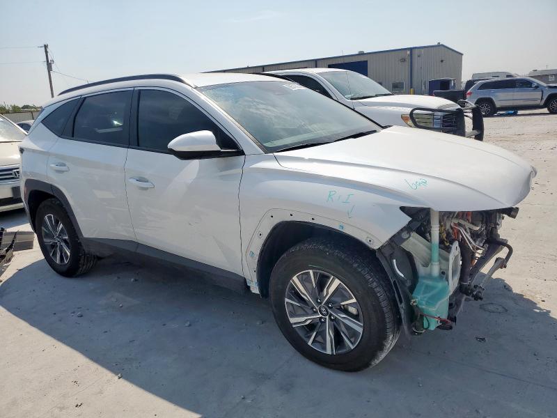 2024 HYUNDAI TUCSON BLU KM8JBCD15RU227883