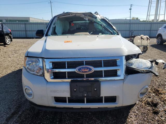 2011 FORD ESCAPE XLT - 1FMCU0DG1BKB95991