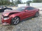 Lot #3303998663 2017 FORD MUSTANG