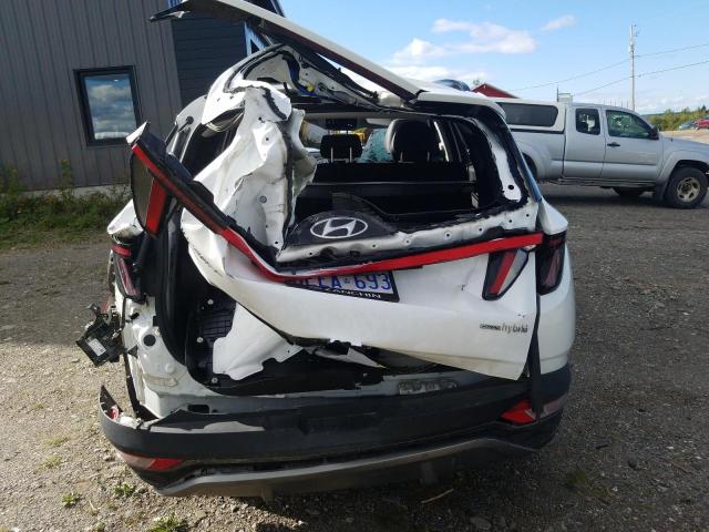 2022 HYUNDAI TUCSON LUX KM8JCCA10NU016344