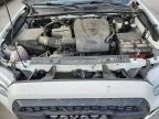 Lot #3313358051 2018 TOYOTA TACOMA DOU