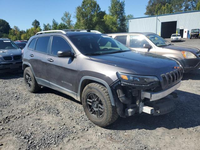 2019 JEEP CHEROKEE L 1C4PJMDN2KD179873