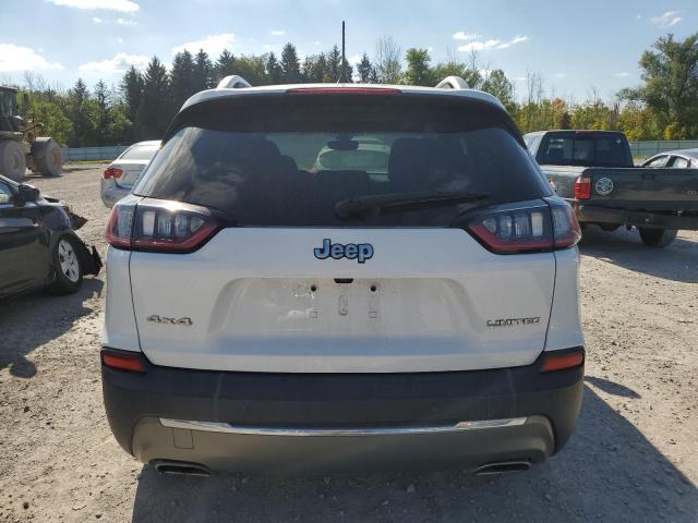 2019 JEEP CHEROKEE L 1C4PJMDX8KD484747