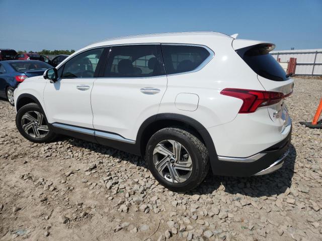 2023 HYUNDAI SANTA FE SEL PREMIUM 5NMS3DAJ4PH523983