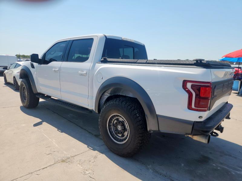 2019 FORD F150 RAPTO - 1FTFW1RGXKFB81946