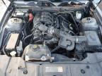 Lot #3306175207 2013 FORD MUSTANG