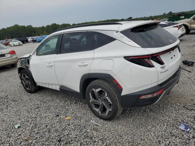 2024 HYUNDAI TUCSON LIM 5NMJE3DE1RH348738