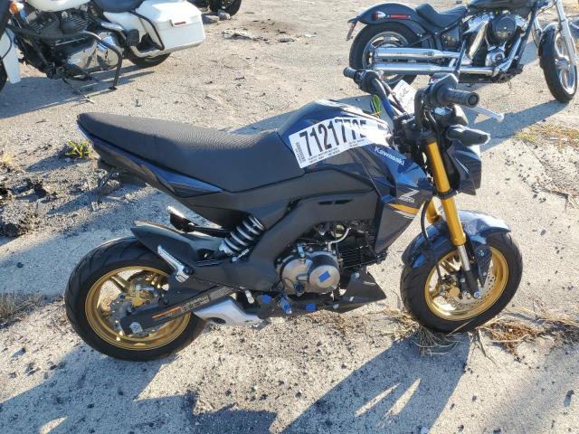 2023 KAWASAKI BR125 J JKABRRJ15PDA29438