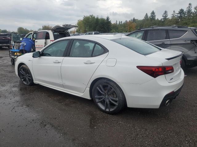 2019 ACURA TLX TECHNO 19UUB1F66KA801009