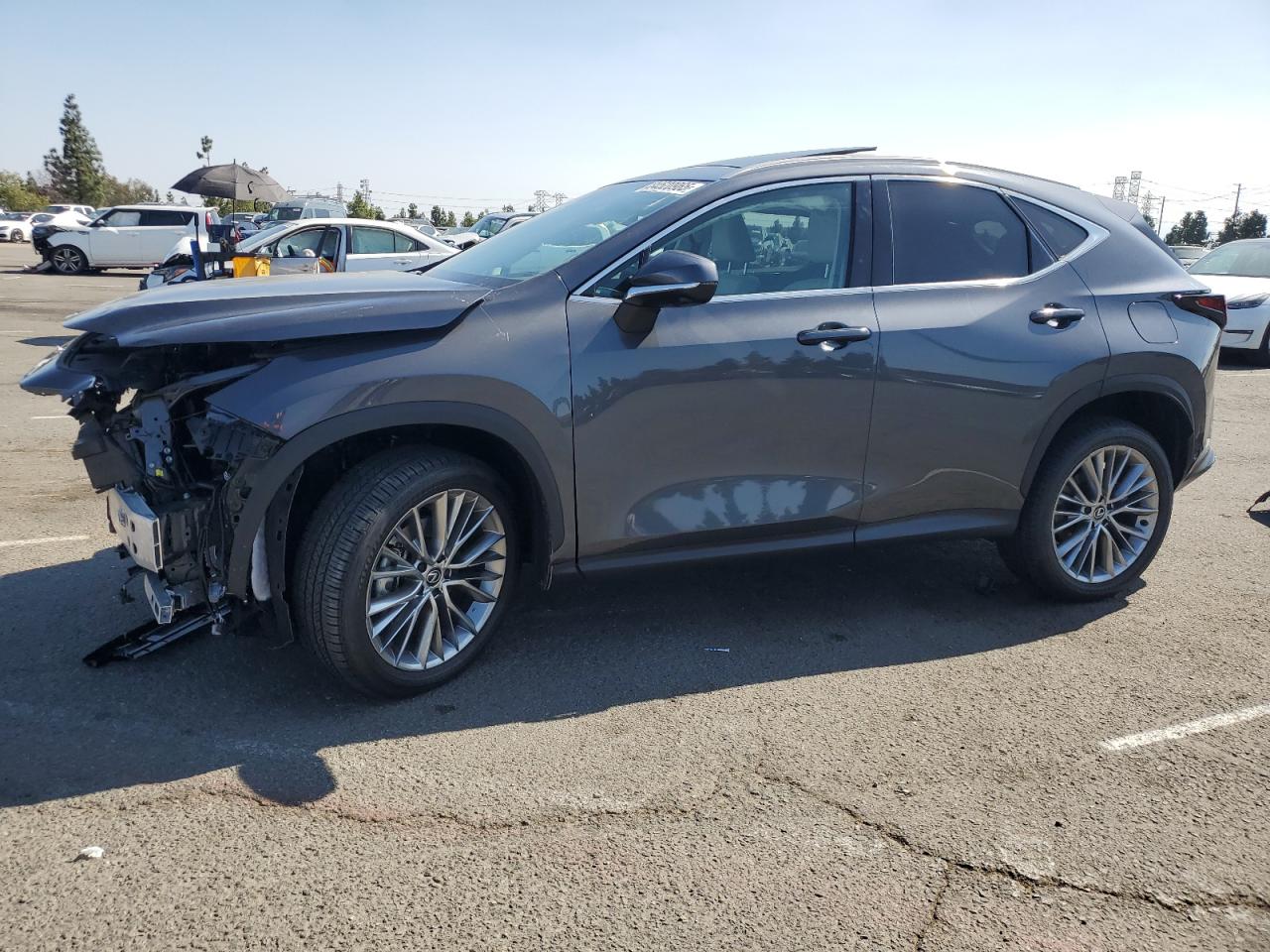 LEXUS NX 350H BASE
