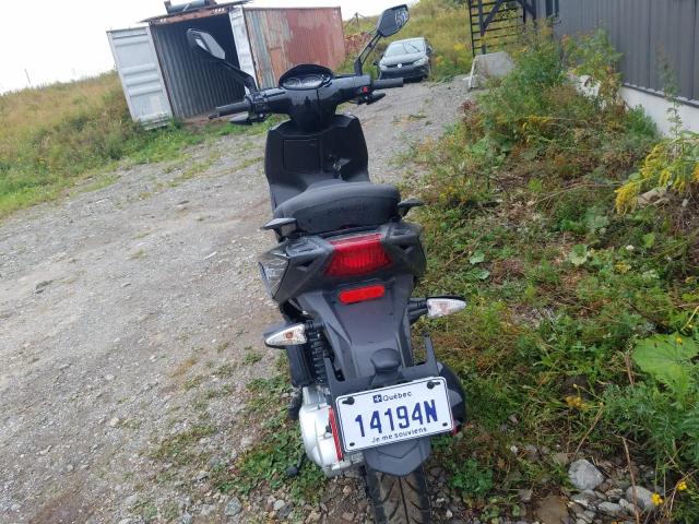 2023 PIAGGIO TYPHOON 50 ZAPC506B1P4004888