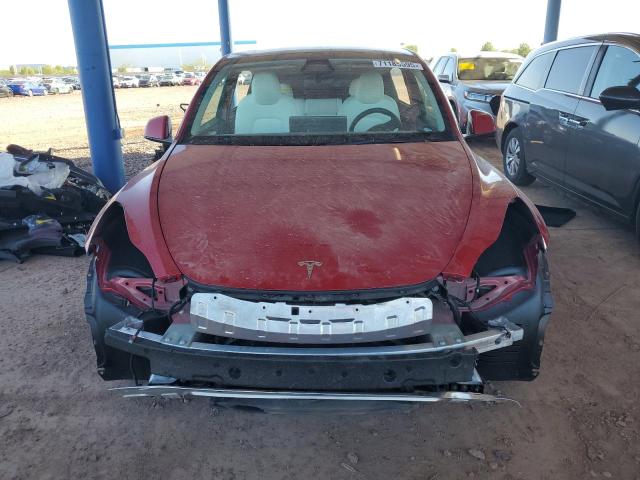 2023 TESLA MODEL Y - 7SAYGDEF4PF947642