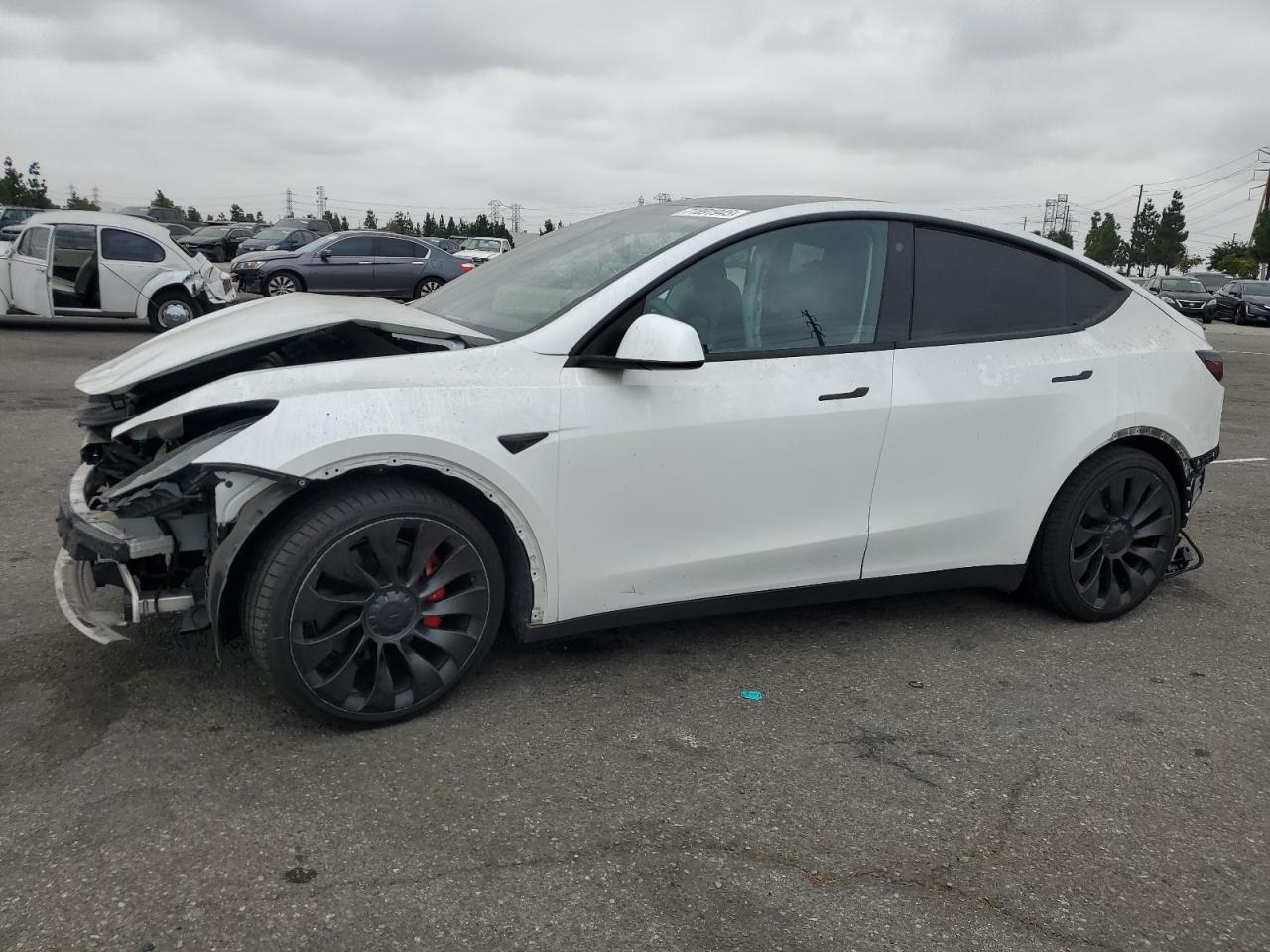 TESLA MODEL Y