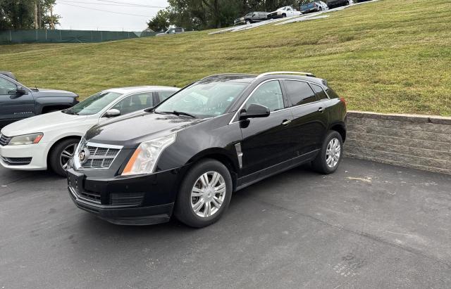 2010 CADILLAC SRX LUXURY - 3GYFNAEY9AS541133