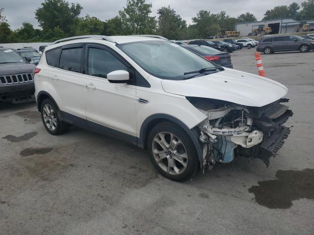 2014 FORD ESCAPE TIT - 1FMCU0J92EUD23962