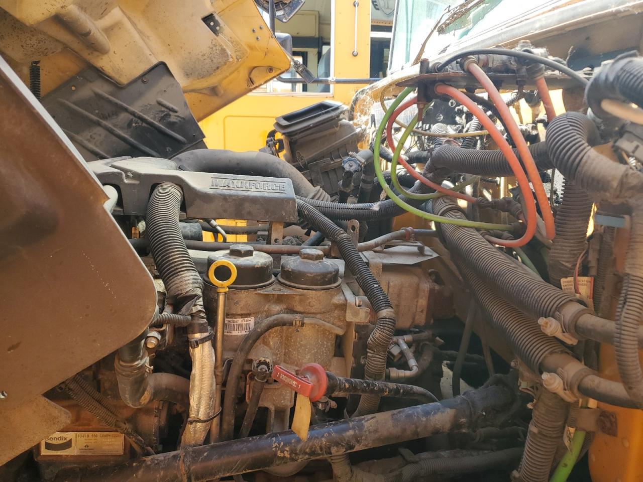 Lot #3232337884 2013 IC CORPORATION CE SERIES SCHOOL