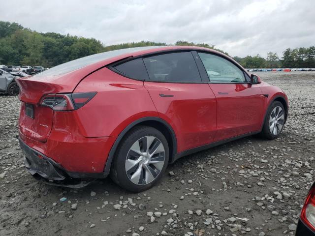 2021 TESLA MODEL Y 5YJYGDEE1MF196368