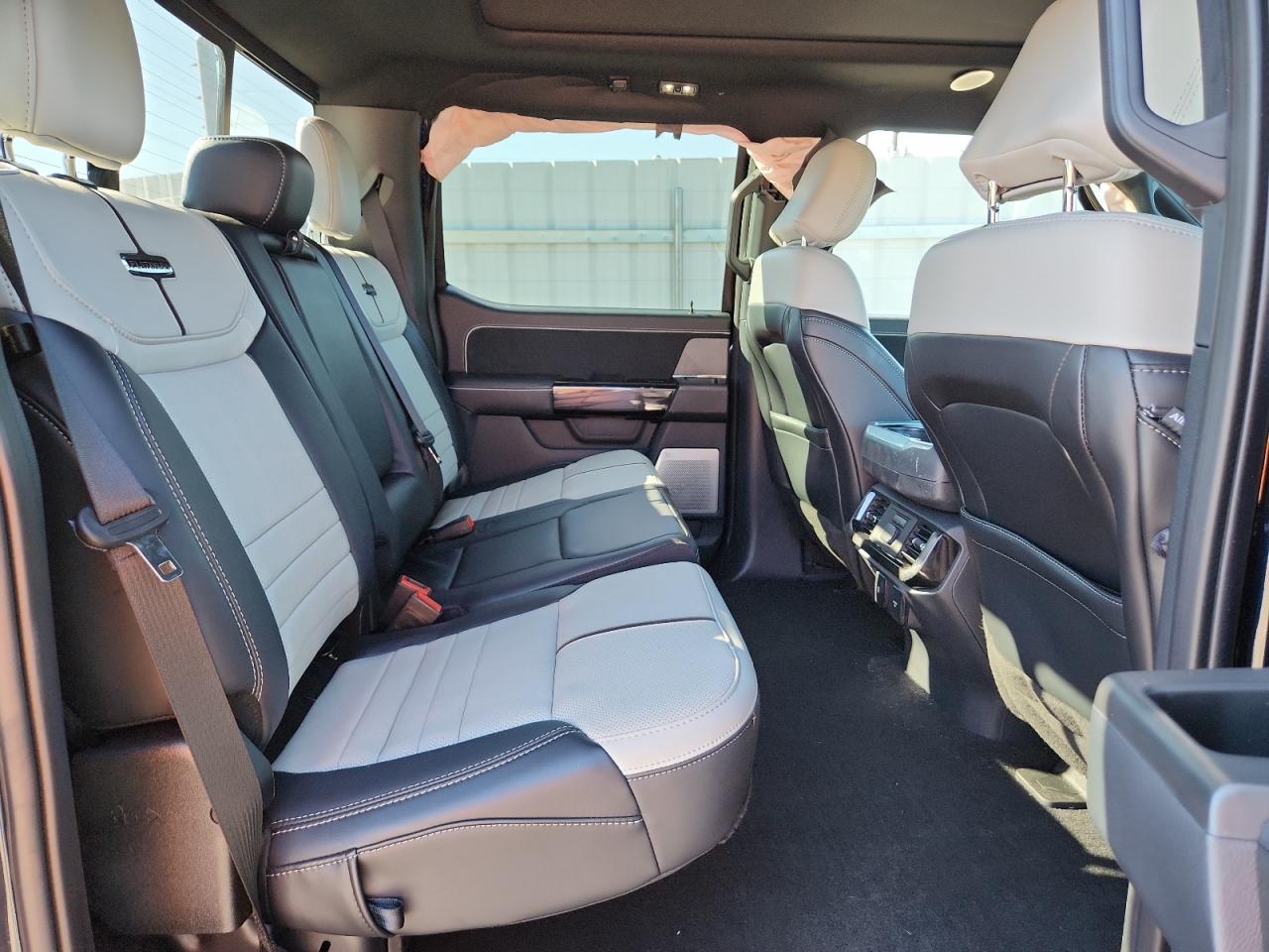 FORD F-150 LIGHTNING PLATINUM