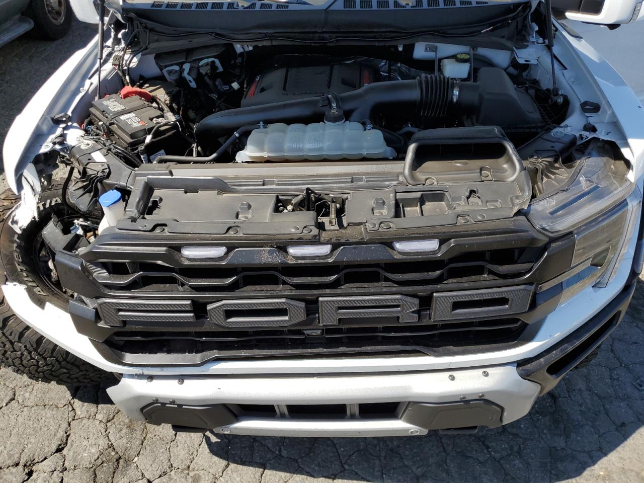 Lot #3318185944 2024 FORD F150 RAPTOR
