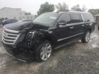 Top Destinations for Shipping Cars from the USA