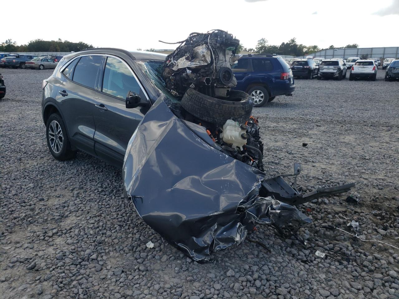 Lot #3287465997 2022 FORD ESCAPE SEL