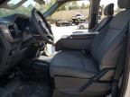 Lot #3294379109 2024 FORD F150 XL
