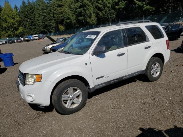 Global Auto Auctions: 2008 FORD ESCAPE HEV