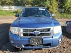 Lot #3308308168 2010 FORD ESCAPE XLT